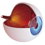 Ochrona oczu przed promieniowaniem UV