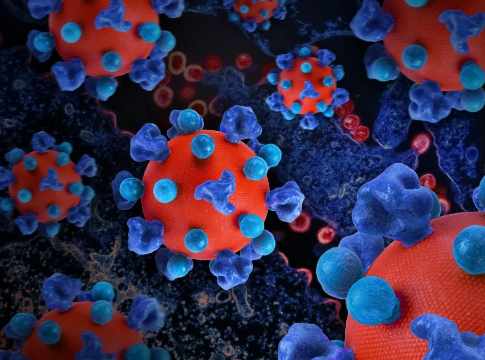 na zdjęciu znajduje się grafika przedstawiająca wirus HIV
