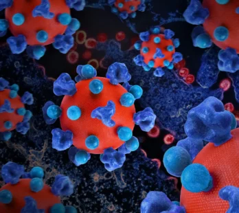 na zdjęciu znajduje się grafika przedstawiająca wirus HIV